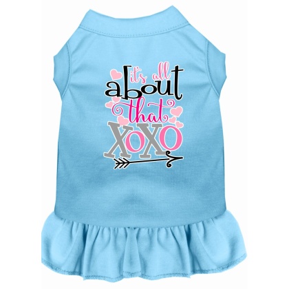 All about the XOXO Screen Print Dog Dress Baby Blue 4X