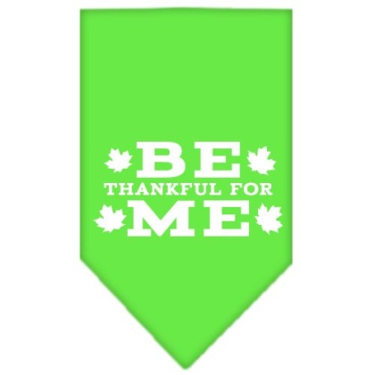 Be Thankful for Me Screen Print Bandana Lime Green Large