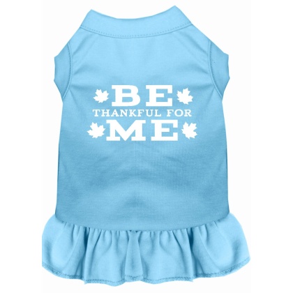 Be Thankful for Me Screen Print Dress Baby Blue 4X (22)
