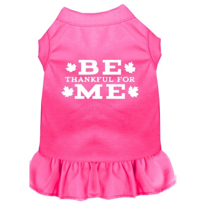 Be Thankful for Me Screen Print Dress Bright Pink 4X (22)