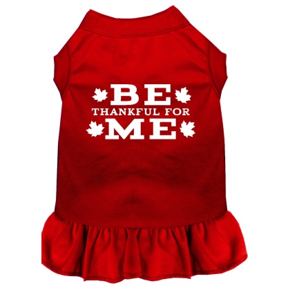 Be Thankful for Me Screen Print Dress Red 4X (22)
