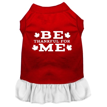 Be Thankful for Me Screen Print Dress Red with White Lg