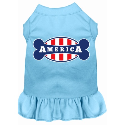Bonely in America Screen Print Dress Baby Blue 4X (22)