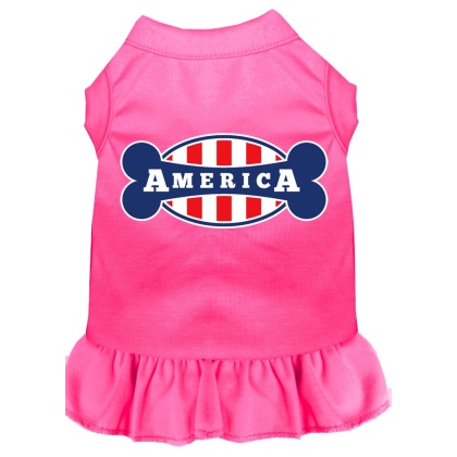 Bonely in America Screen Print Dress Bright Pink 4X (22)
