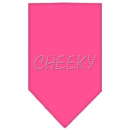 Cheeky Rhinestone Bandana Bright Pink Large