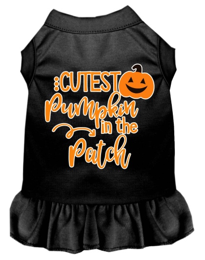 Cutest Pumpkin in the Patch Screen Print Dog Dress Black 4X