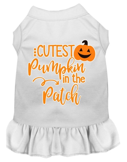 Cutest Pumpkin in the Patch Screen Print Dog Dress White 4X