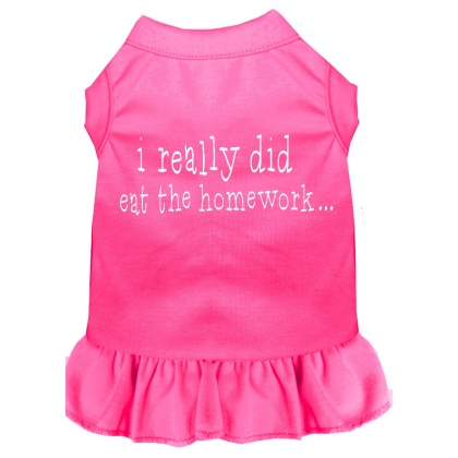 I really did eat the Homework Screen Print Dress Bright Pink 4X (22)