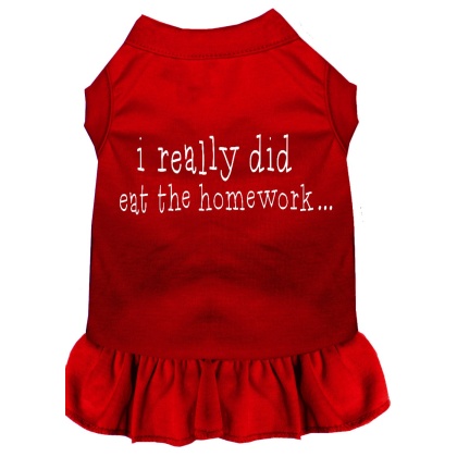 I really did eat the Homework Screen Print Dress Red 4X (22)