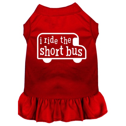 I ride the short bus Screen Print Dress Red 4X (22)