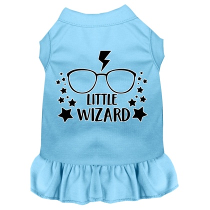Little Wizard Screen Print Dog Dress Baby Blue 4X (22)