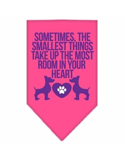 Smallest Things Screen Print Bandana Bright Pink Large