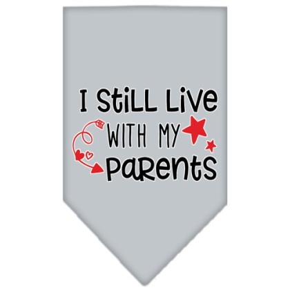 Still Live with my Parents Screen Print Pet Bandana Grey Large